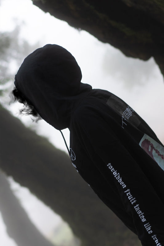 heavenlyvirtues_hoodie